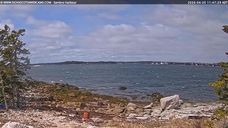 Sambro Harbour