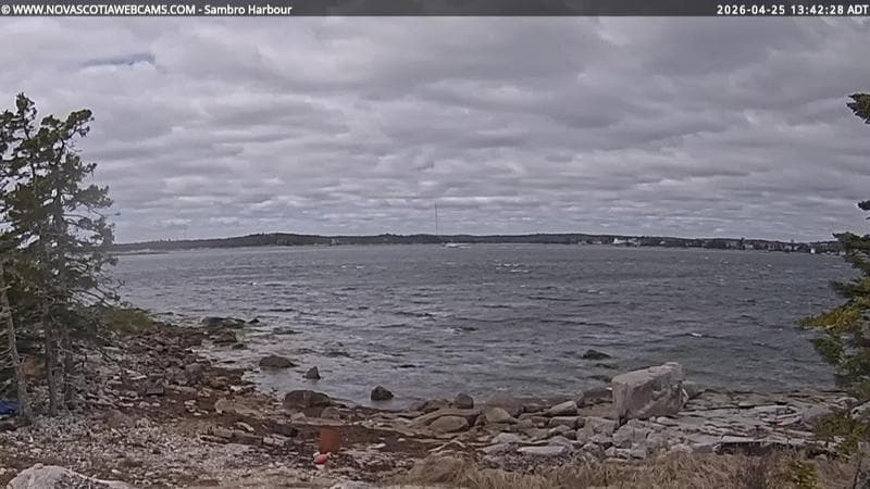Sambro Harbour