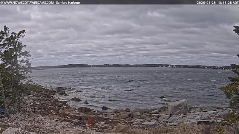 Sambro Harbour