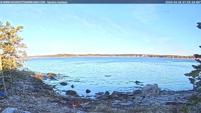 Sambro Harbour