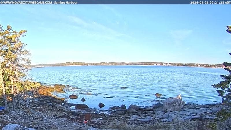 Sambro Harbour