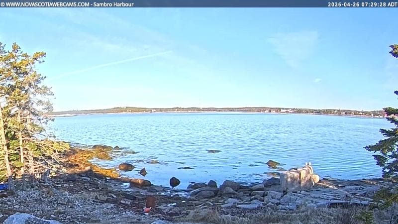 Sambro Harbour