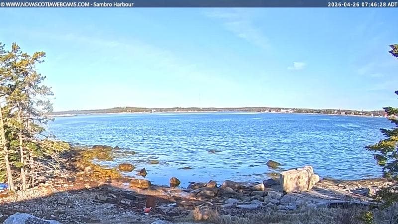 Sambro Harbour