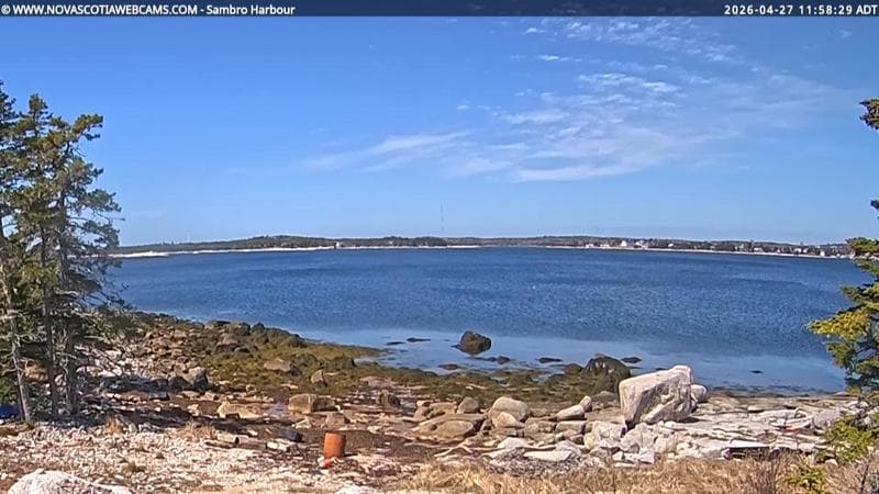 Sambro Harbour