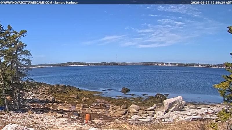 Sambro Harbour