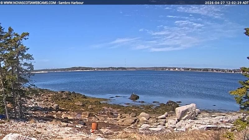 Sambro Harbour
