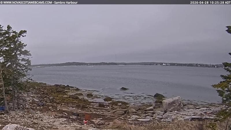Sambro Harbour