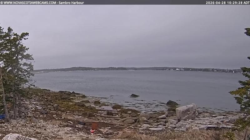 Sambro Harbour