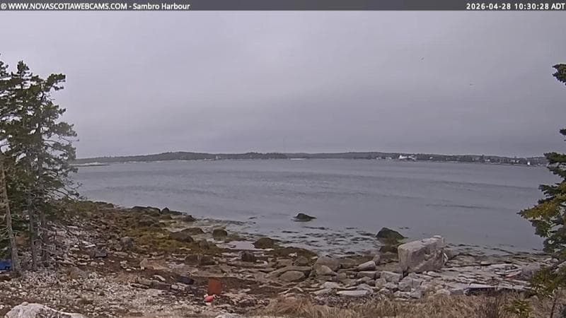 Sambro Harbour
