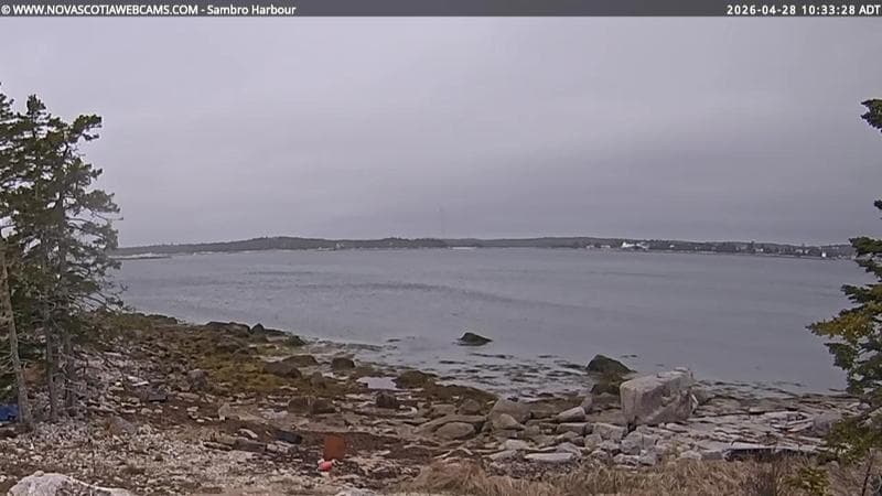 Sambro Harbour