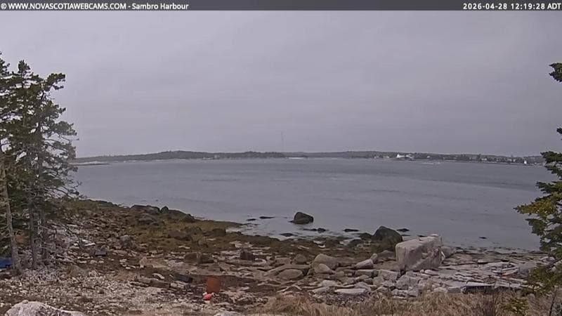 Sambro Harbour