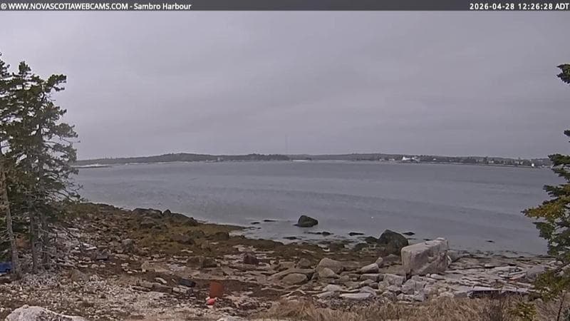 Sambro Harbour