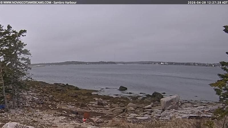 Sambro Harbour
