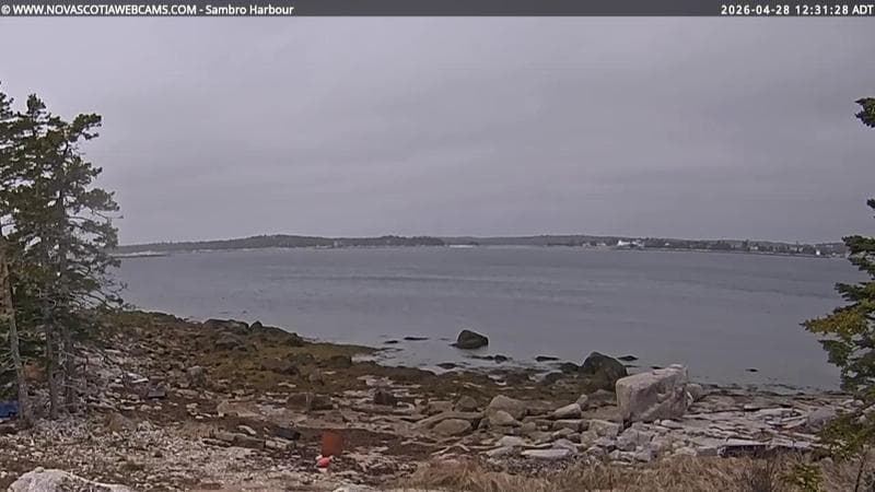 Sambro Harbour