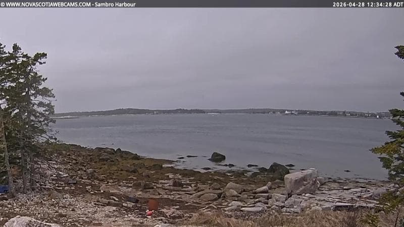 Sambro Harbour