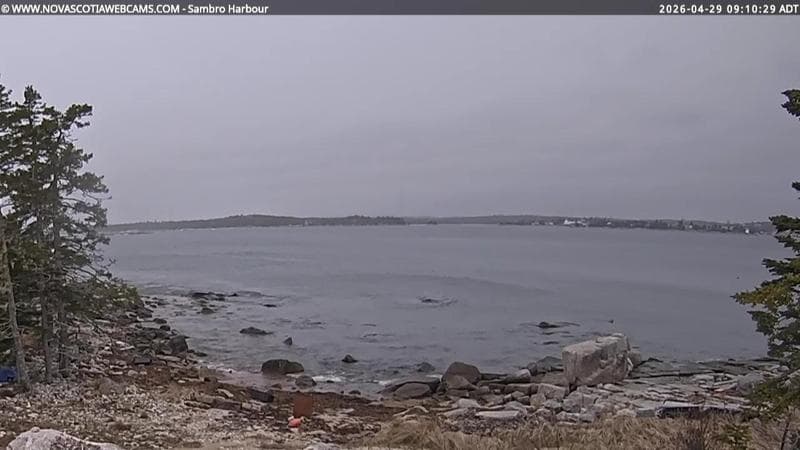 Sambro Harbour
