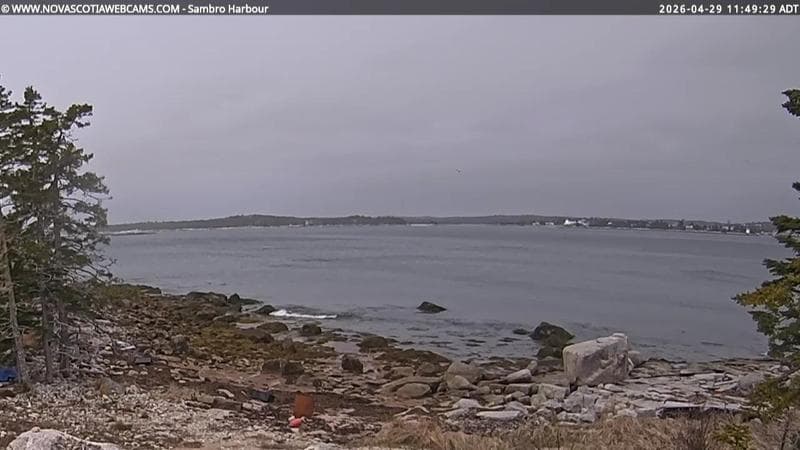 Sambro Harbour