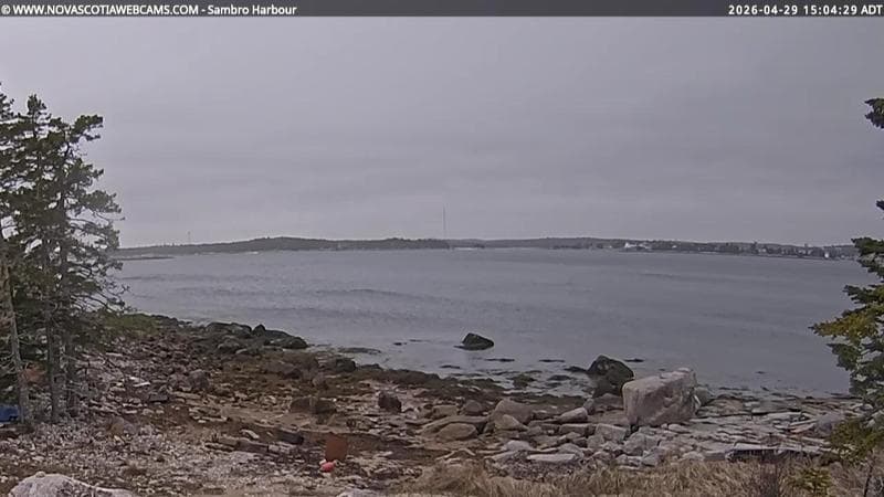 Sambro Harbour