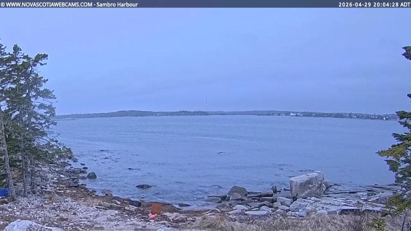 Sambro Harbour