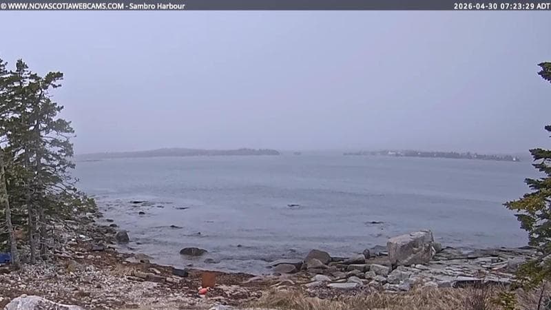 Sambro Harbour