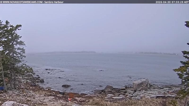 Sambro Harbour
