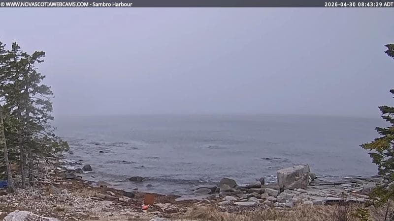 Sambro Harbour
