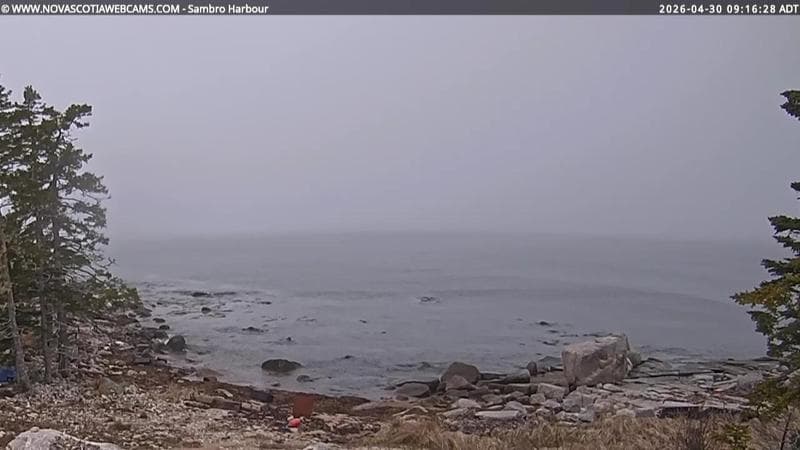 Sambro Harbour