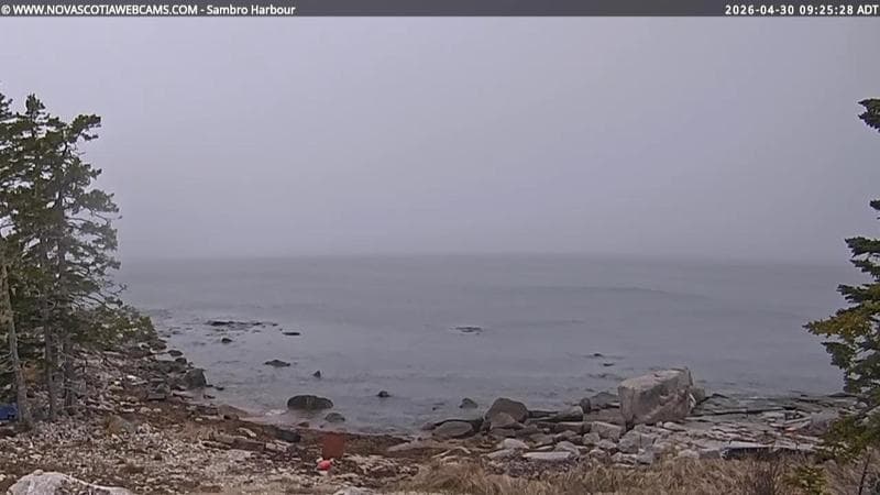 Sambro Harbour