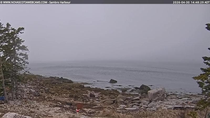 Sambro Harbour