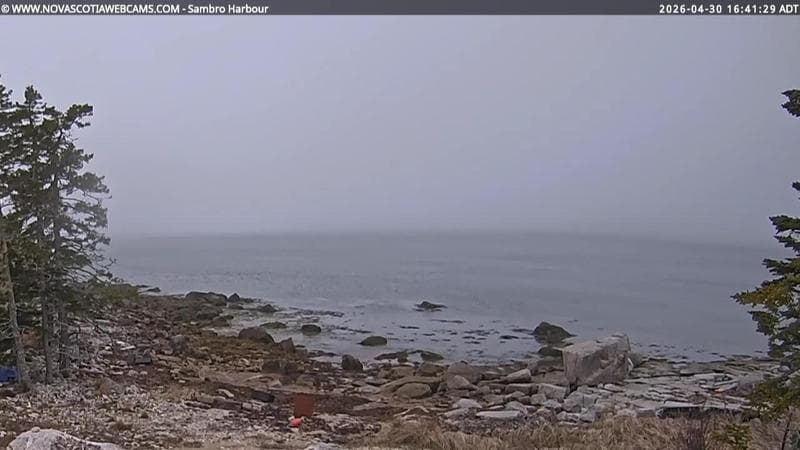 Sambro Harbour