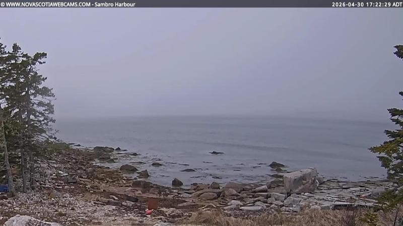 Sambro Harbour