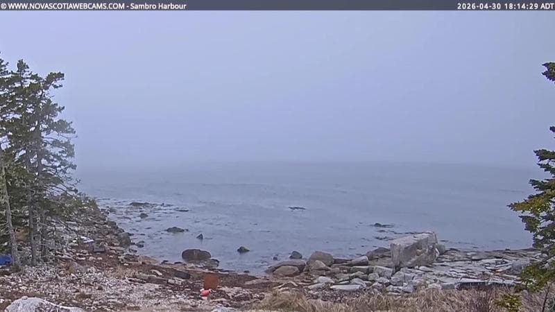 Sambro Harbour