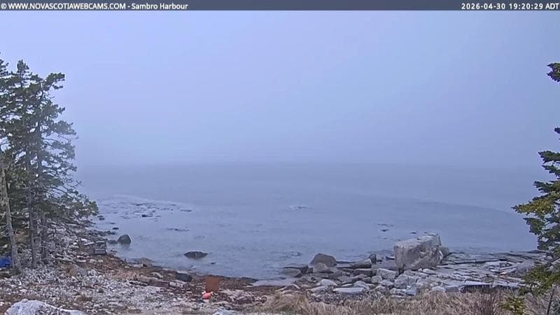 Sambro Harbour