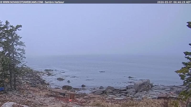 Sambro Harbour