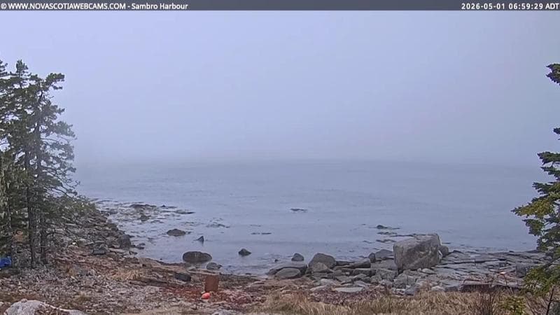 Sambro Harbour