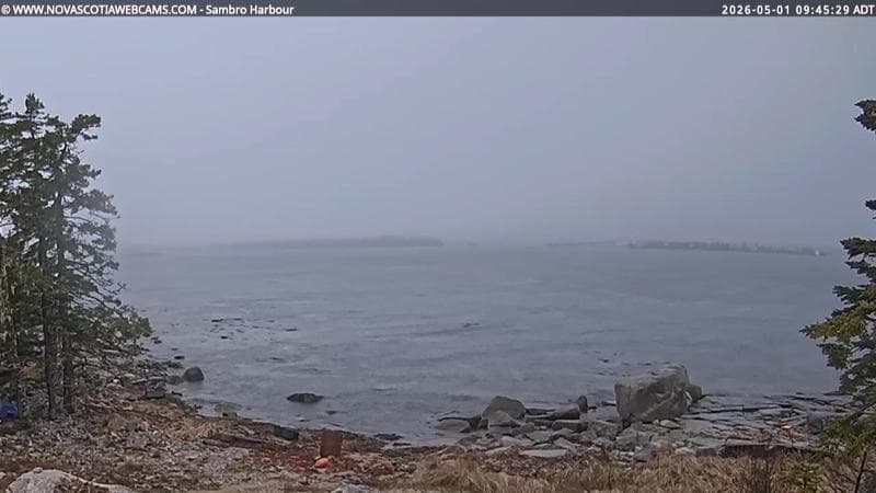 Sambro Harbour