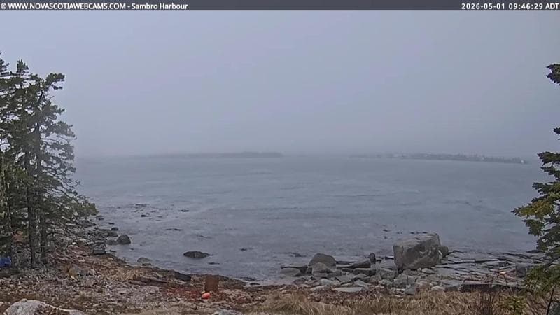 Sambro Harbour