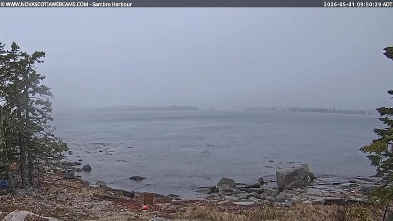 Sambro Harbour
