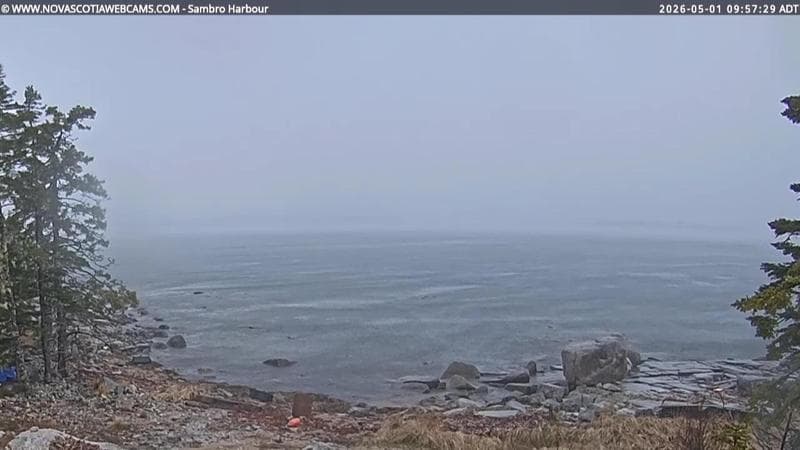 Sambro Harbour