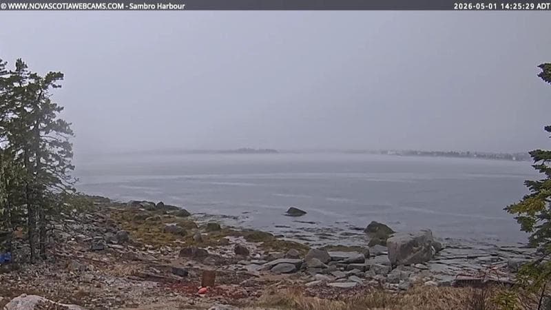 Sambro Harbour