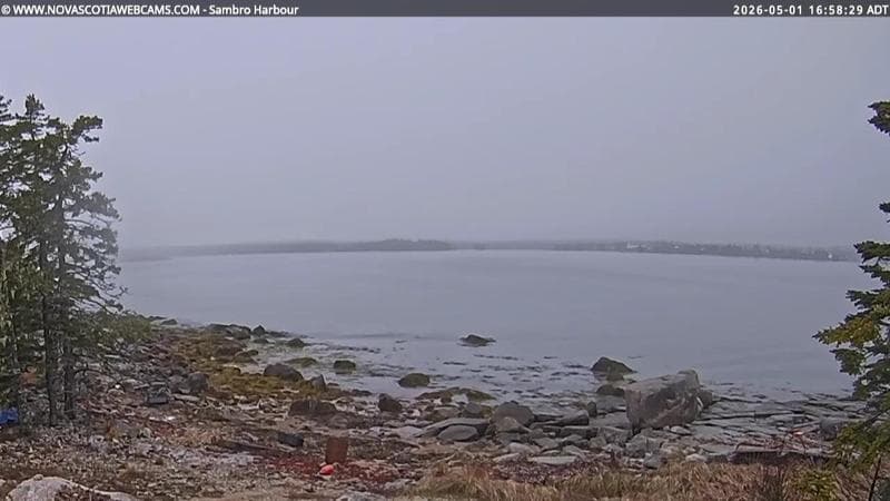 Sambro Harbour