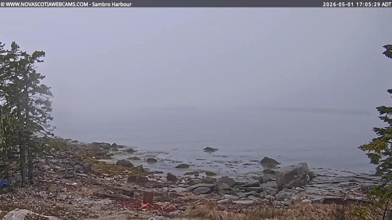 Sambro Harbour