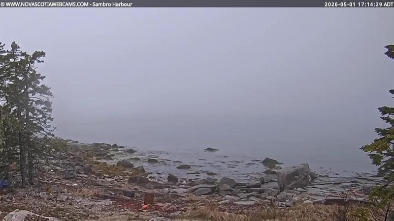 Sambro Harbour
