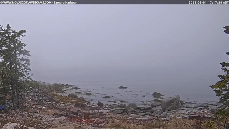 Sambro Harbour