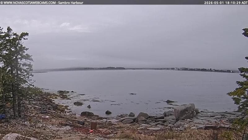 Sambro Harbour