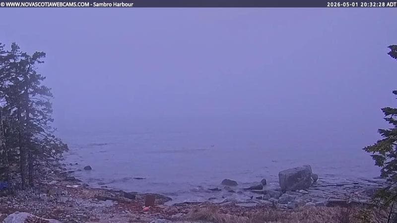 Sambro Harbour