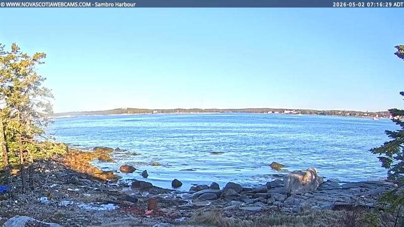 Sambro Harbour