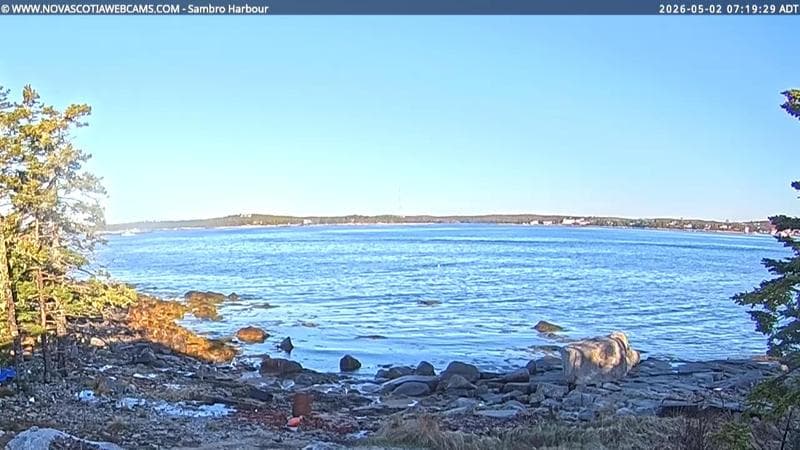 Sambro Harbour