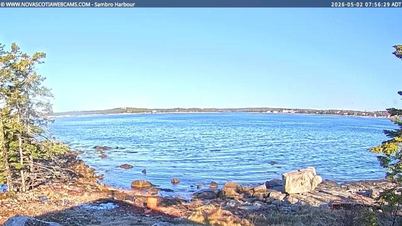 Sambro Harbour