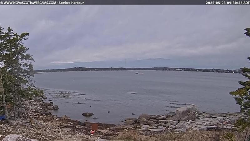 Sambro Harbour